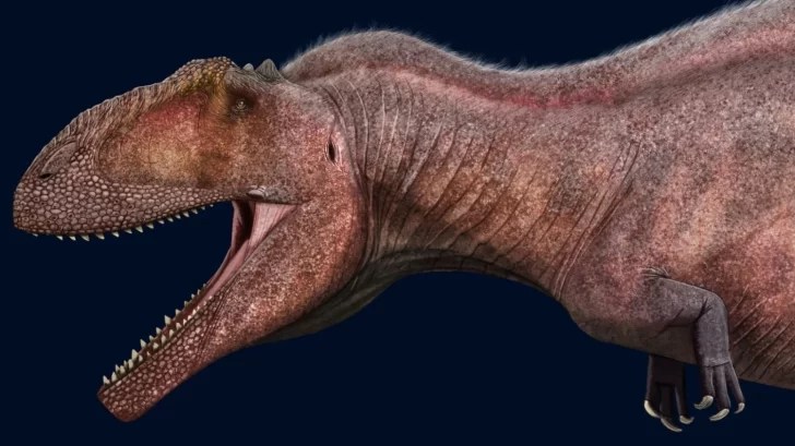 Hallan restos fósiles de otro dinosaurio carnívoro en Río&nbsp;Negro