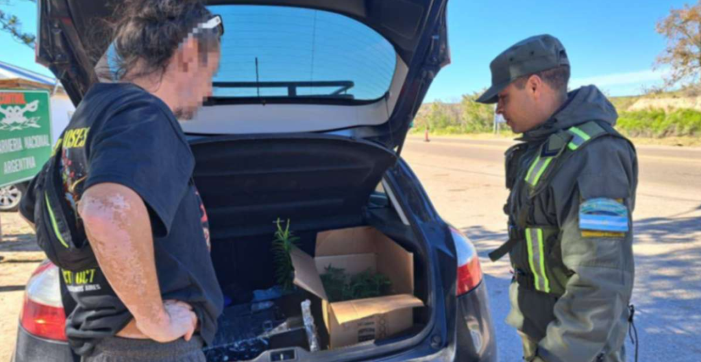 Incautan marihuana, animales exóticos y dinero en la Ruta&nbsp;3