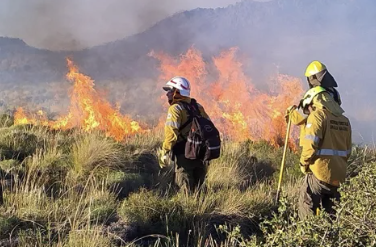 Incendios en Chile: Neuquén se pone a disposición para combatir el&nbsp;fuego