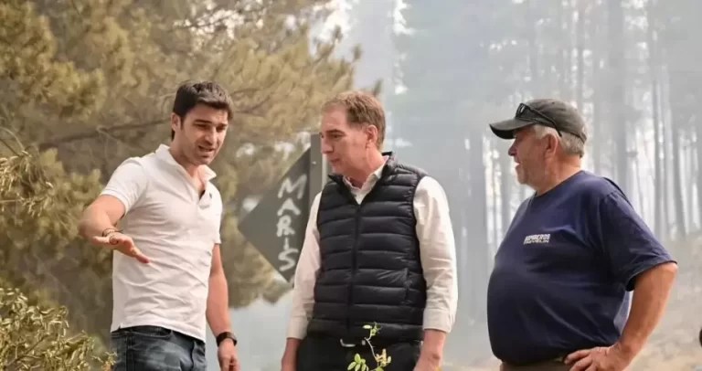 Torres impulsa tipificar el ecocidio tras los incendios que devastaron&nbsp;Chubut