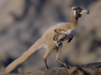 Un diminuto dinosaurio de Río Negro reescribe la evolución de los&nbsp;terópodos