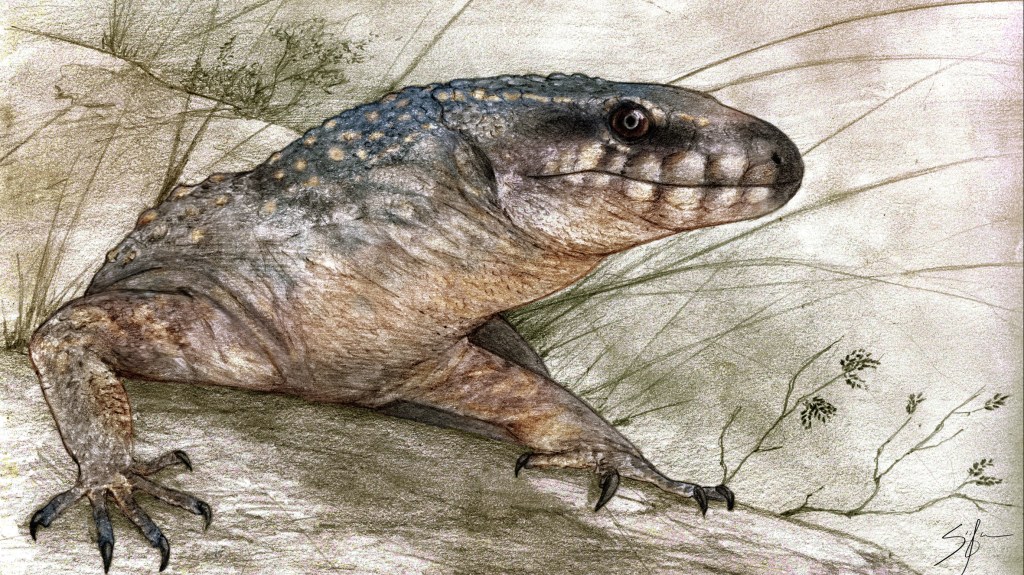 Descubren en Río Negro el lagarto más completo del Cretácico tardío en&nbsp;Sudamérica