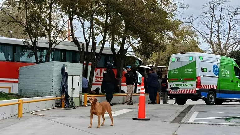 Tragedia en Catriel: un mecánico murió aplastado por un colectivo durante una&nbsp;reparación