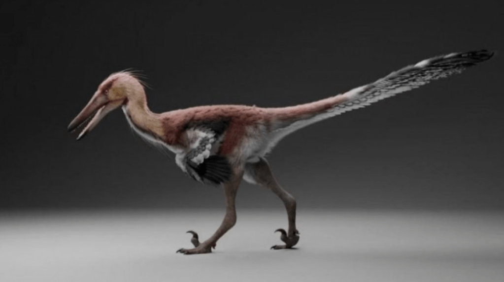 Descubrieron en El Calafate el primer dinosaurio raptor de Santa Cruz: lo bautizaron con un nombre de la mitología&nbsp;tehuelche