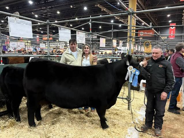 Un remate histórico de Angus en General Conesa: el campo patagónico que ya había brillado en Palermo volvió a sorprender