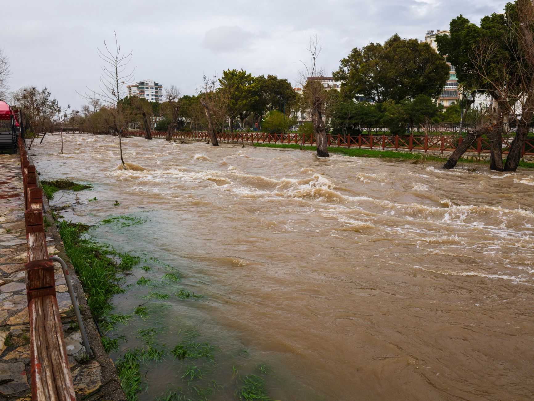 Crecida del río Uruguay: 15 familias evacuadas y el Paraná en alerta por un posible nivel histórico